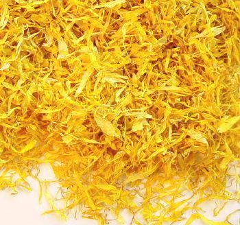 Dried Marigold Petal at Best Price in Gandhinagar, Gujarat | Windson ...