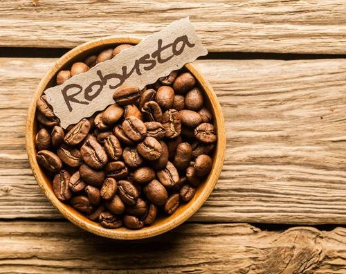 Common Robusta Coffee Beans