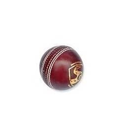 Sg Cricket Ball