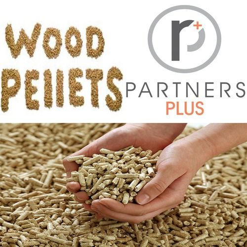 Wood Pellet