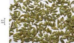 Mix Fennel Seeds