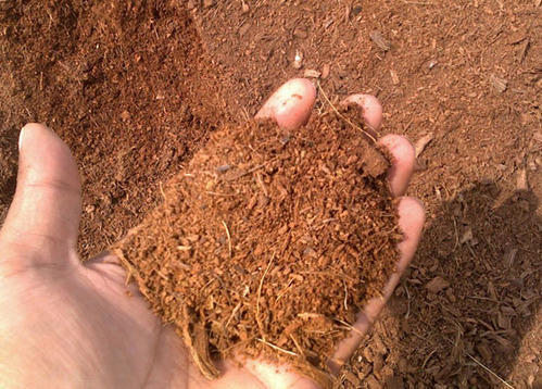 Low Cost Coco Peat