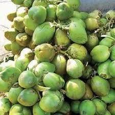 Fresh Tender Coconut