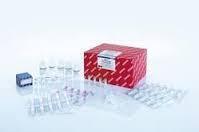 Hanta Virus RG Quantitative PCR Kit