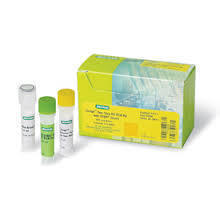 Measles Virus RG Quantitative Real Time PCR Kit