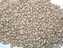 Granular Fertilizer