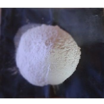 Processed Limestone Powder