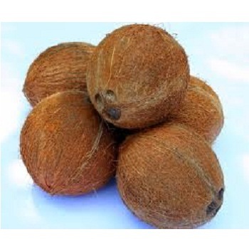 Fresh Coconuts