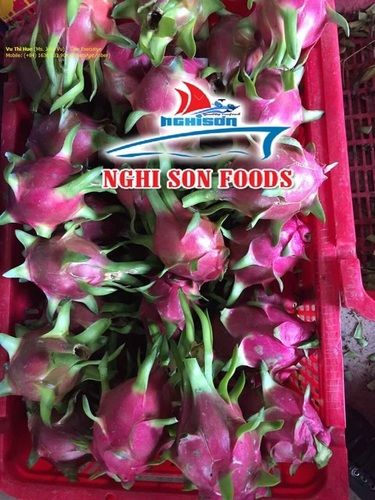 Red Skin Dragon Fruit