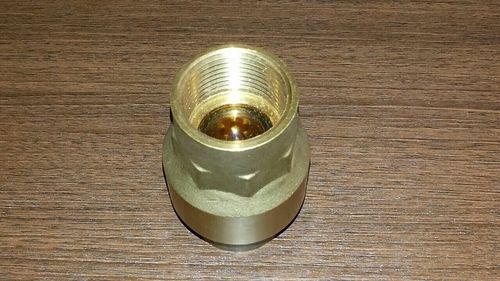 Brass Non Return Valve