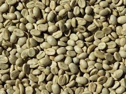 Green Coffee Seeds - Rich in Chlorogenic Acid, Antioxidant-Rich Dietary Supplement for Weight Loss, Heart Health, and Diabetes Management