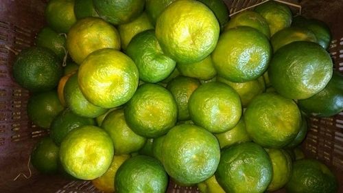 Fresh Nagpur Oranges