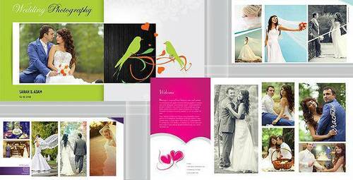 Album Designing Services By Winbiz Solutions India