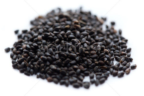 Ocimum Basilicum Seeds