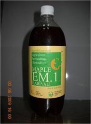 Maple EM.1 Hariyali