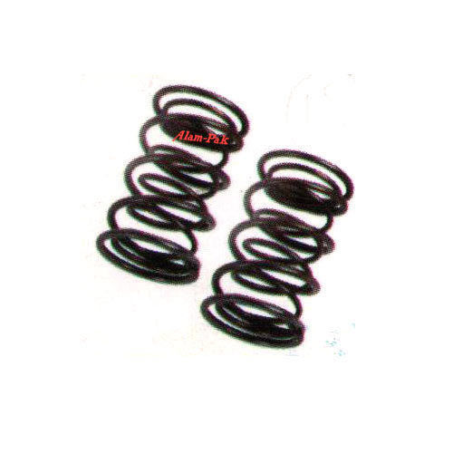 Valve Spring