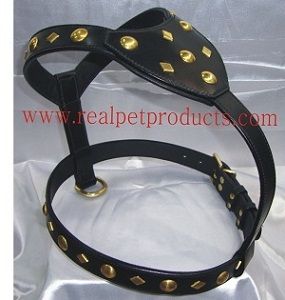 Black Dog Harnesses