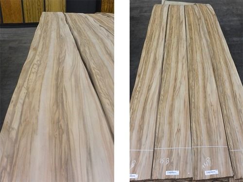 Wood Plywood Gum