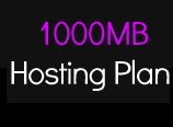  लिनक्स होस्टिंग 1000MB सेवाएं