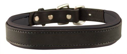 Dog Collars