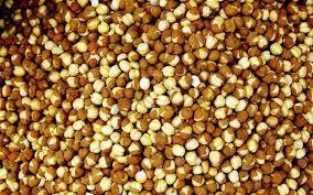 Roasted Chana - Oven Roasted Chickpeas, High Fiber Snack - Deliciously Seasoned, Versatile for Salads, Stews, and Dishes