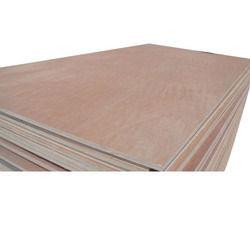 Film Coated Shuttering Plywood - High Grade Raw Material, Versatile for Furniture and Modular Kitchens