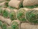 Natural Korean Grass Carpet Landscaping Service