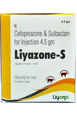 Cefoperazone And Sulbactum Injection