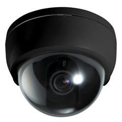 Dome Cameras