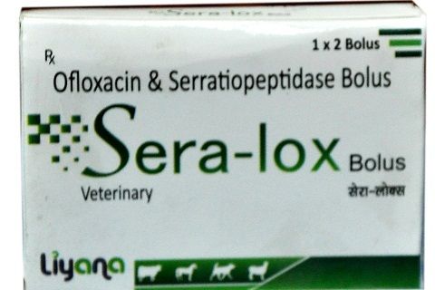 Ofloxacin and Serratiopeptidase Bolus