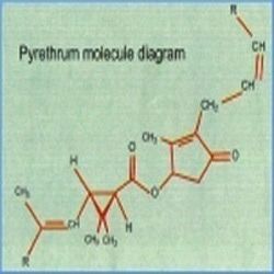 पायरेथ्रम कीटनाशक