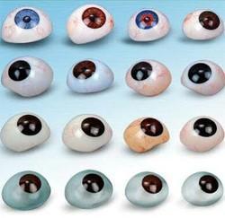 Custom Made Artificial Eye at Best Price in Mira Bhayandar