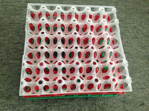 30 Holes Plastic Egg Tray