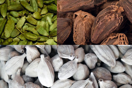 Cardamom