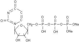 Uridine Triphosphate Trisodium - Pharmaceutical Intermediate, CAS No. 63-39-8, White Crystalline Powder, Not Less Than 90% Purity, Stored at Frozen Temperature