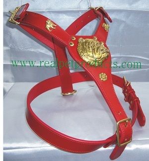 Red Leather Dogs Collar