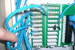 Voice Data Panels