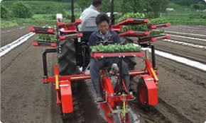 Mix Onion Transplanter