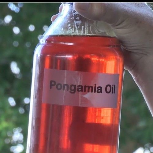 Pongamia Oil