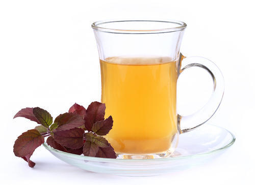 Basil Herbal Tea