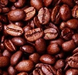 Roasted Coffee Beans - Organic Blend, Unique Mixture of Premium Quality Coffee Plantation with Freshly Brewed Flavor for Optimal Taste and Freshness