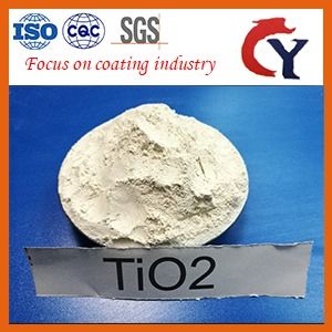 Titanium Dioxide White Powder Cas No: 13463-67-7