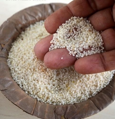 Little Millet - High Grade Seed Variety | Premium Quality, Sophisticated Processing Techniques