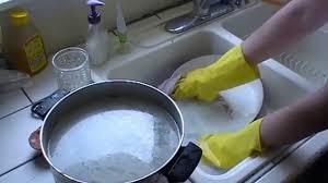 Dish Washing Liquid Utensil Cleaner