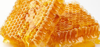 Forest Honey