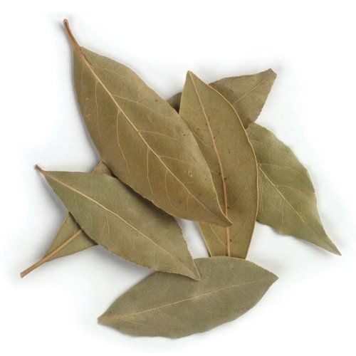 Bay Leaf