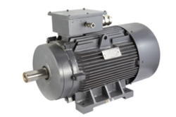 Naval Or Marine Duty Motor