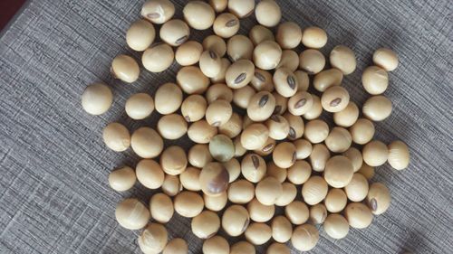 Pigeon Peas