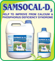 SAMSOCAL - D4 Feed Supplement