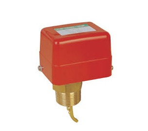 Electric Flow Switch
